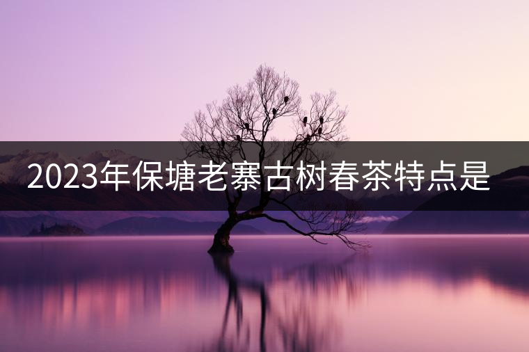 2023年保塘老寨古樹春茶特點(diǎn)是什么？