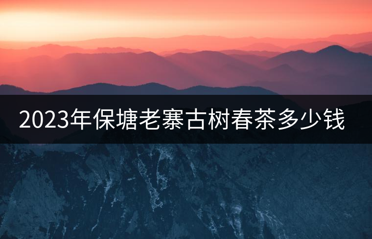 2023年保塘老寨古樹春茶多少錢一公斤？