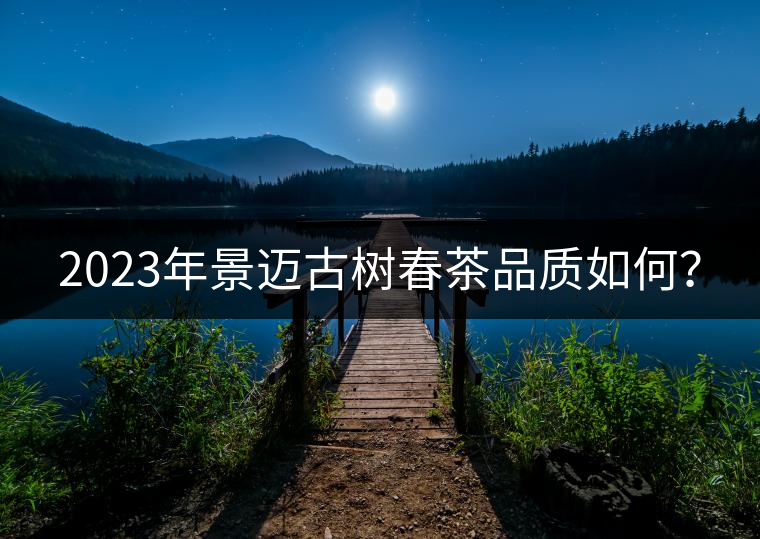 2023年景邁古樹春茶品質(zhì)如何？
