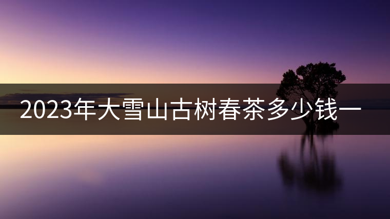 2023年大雪山古樹春茶多少錢一公斤？