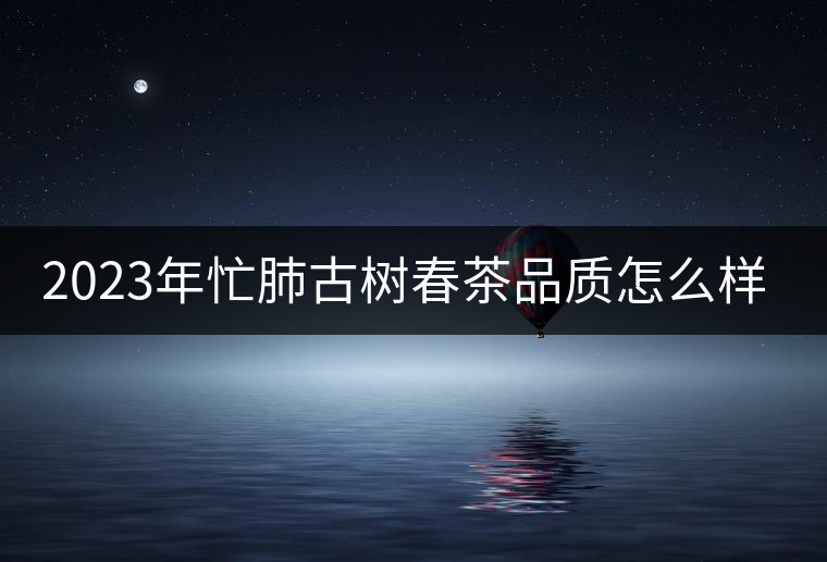 2023年忙肺古樹春茶品質(zhì)怎么樣？