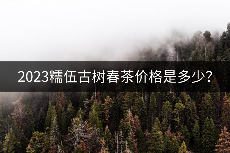 2023糯伍古樹春茶價(jià)格是多少？