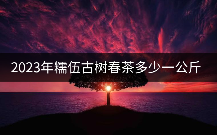 2023年糯伍古樹(shù)春茶多少一公斤？