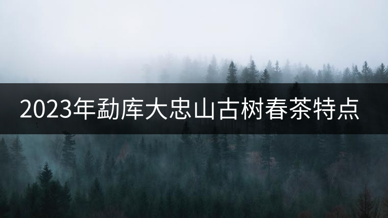 2023年勐庫大忠山古樹春茶特點(diǎn)?
