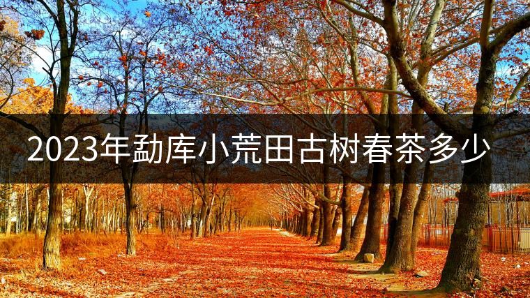 2023年勐庫小荒田古樹春茶多少一公斤？