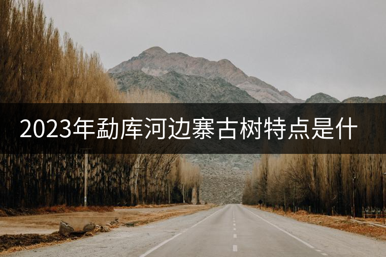 2023年勐庫(kù)河邊寨古樹(shù)特點(diǎn)是什么？