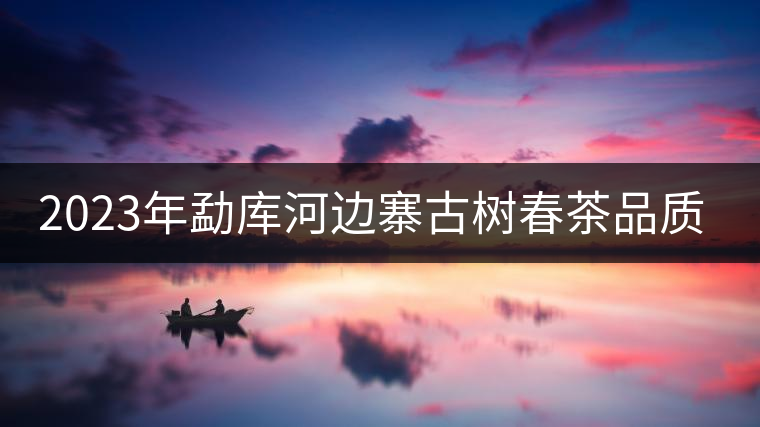 2023年勐庫河邊寨古樹春茶品質(zhì)如何? 2023年勐庫河邊寨古樹春茶品質(zhì)如何?