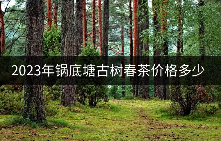 2023年鍋底塘古樹春茶價格多少？