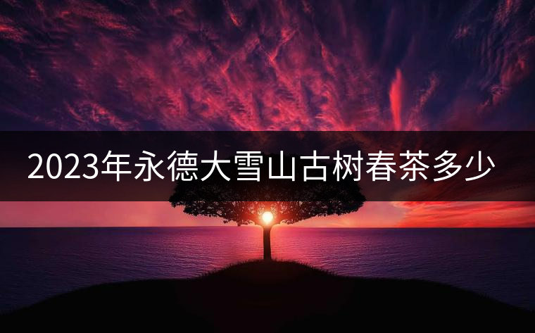 2023年永德大雪山古樹春茶多少一公斤？
