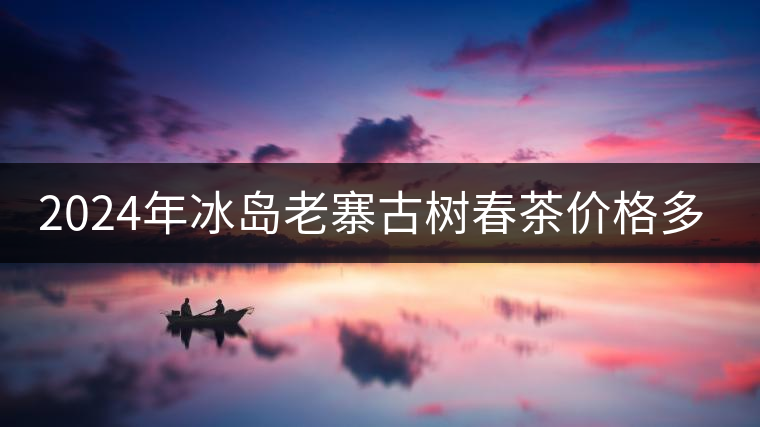 2024年冰島老寨古樹(shù)春茶價(jià)格多少？