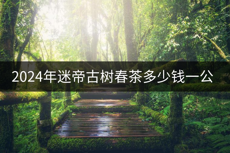 2024年迷帝古樹春茶多少錢一公斤? 2024年迷帝古樹春茶多少錢一公斤?