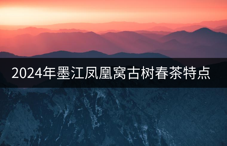 2024年墨江鳳凰窩古樹(shù)春茶特點(diǎn)是什么？