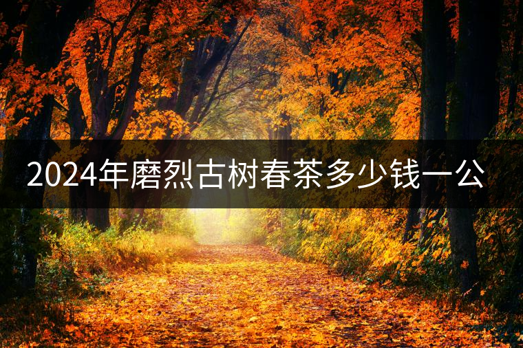 2024年磨烈古樹春茶多少錢一公斤？