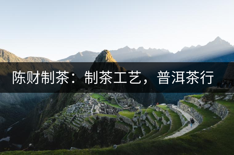 陳財(cái)制茶：制茶工藝，普洱茶行業(yè)的生死線