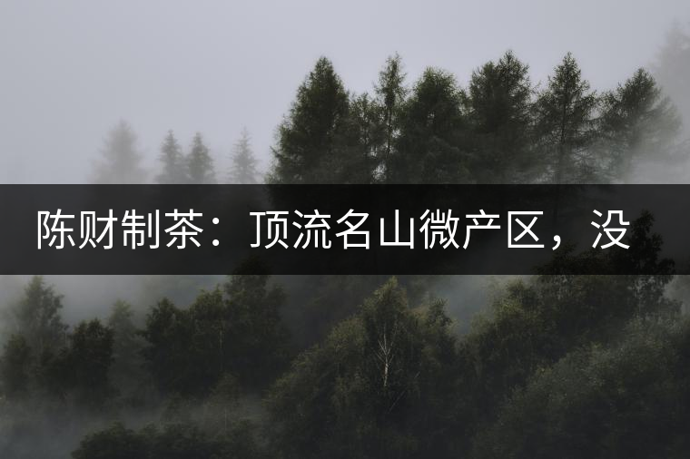陳財制茶：頂流名山微產區(qū)，沒有意義的意義