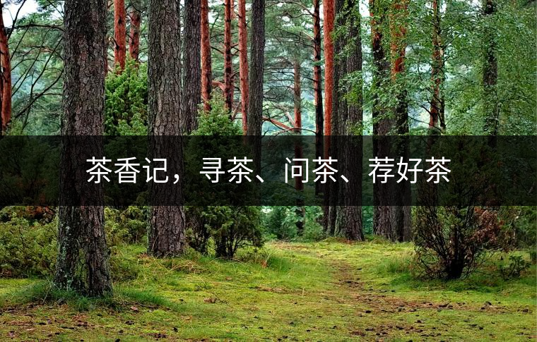 茶香記，尋茶、問茶、薦好茶