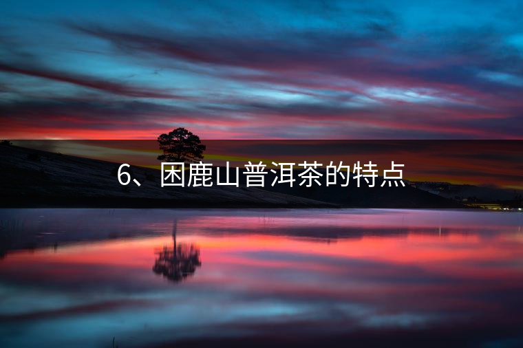 6、困鹿山普洱茶的特點(diǎn)