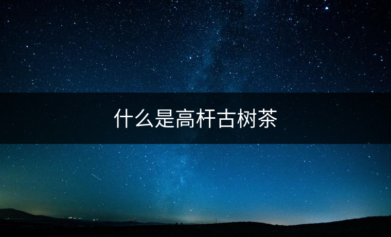什么是高桿古樹茶