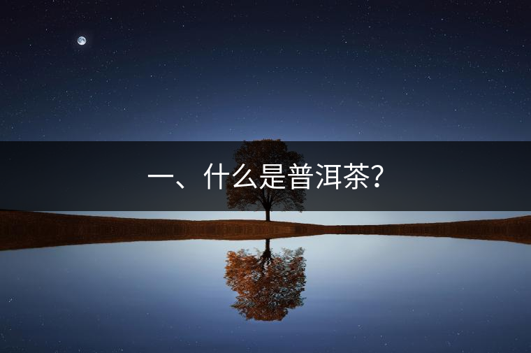 一、什么是普洱茶？