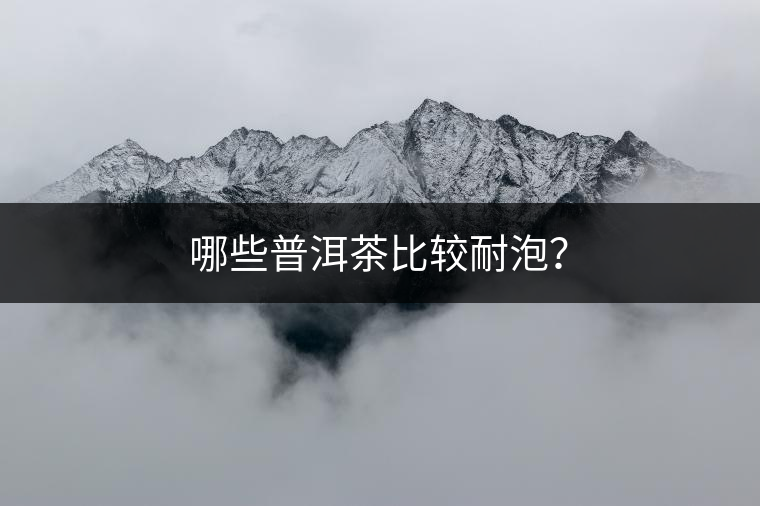哪些普洱茶比較耐泡？
