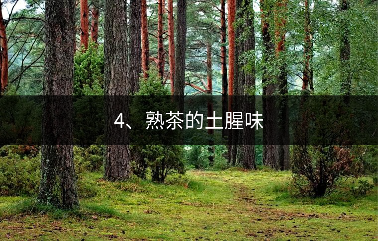 4、熟茶的土腥味