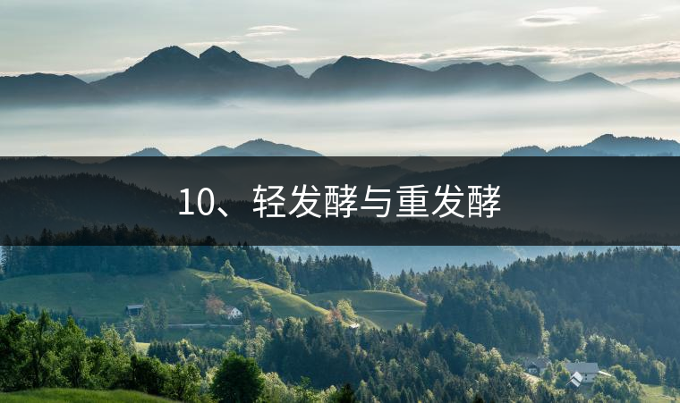 10、輕發(fā)酵與重發(fā)酵