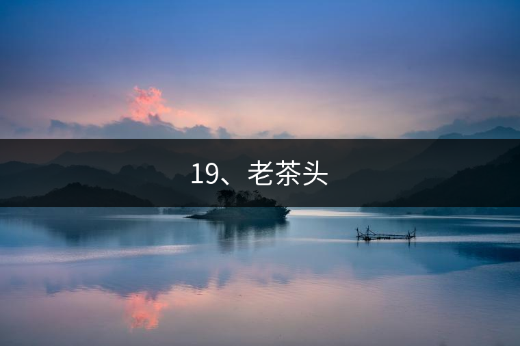 19、老茶頭