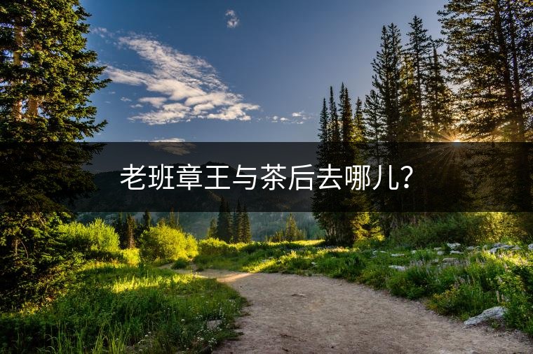 老班章王與茶后去哪兒？