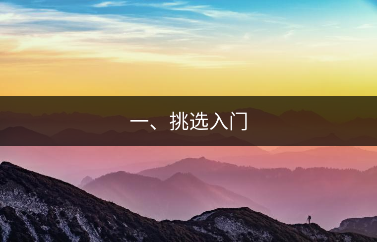 一、挑選入門(mén)