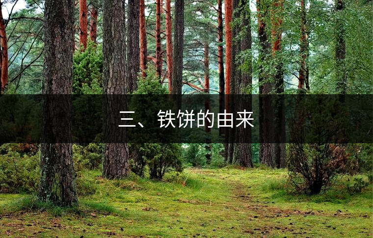 三、鐵餅的由來