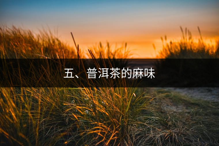 五、普洱茶的麻味