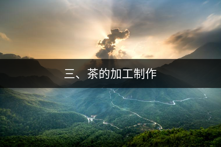 三、茶的加工制作