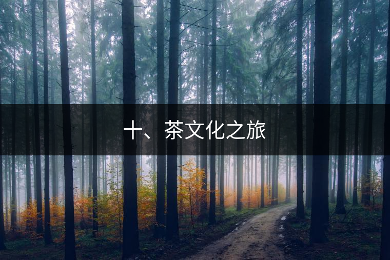 十、茶文化之旅