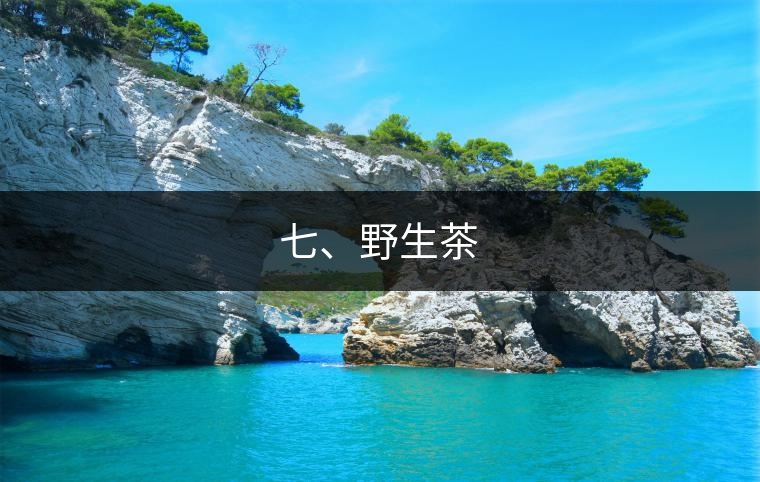 七、野生茶