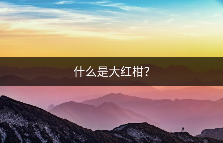 什么是大紅柑？