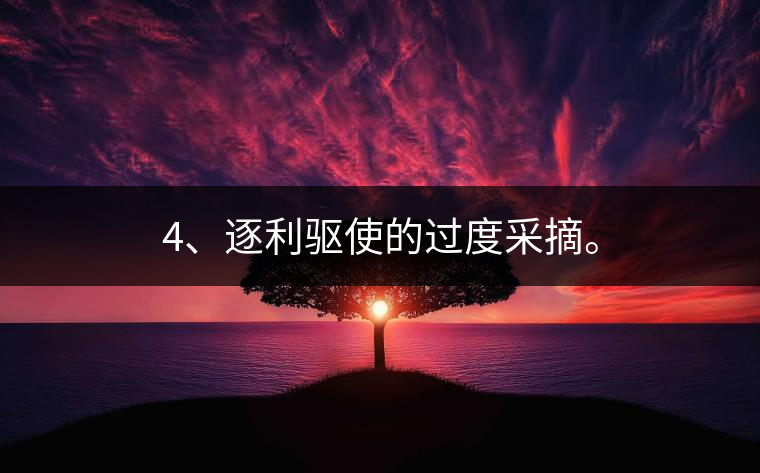 4、逐利驅(qū)使的過(guò)度采摘。