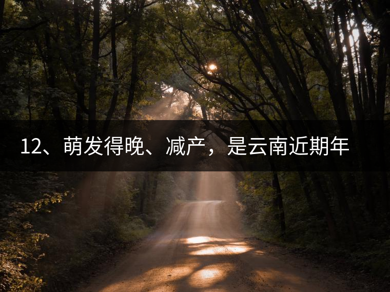 12、萌發(fā)得晚、減產(chǎn)，是云南近期年氣候變化在茶樹(shù)上的延遲反映。