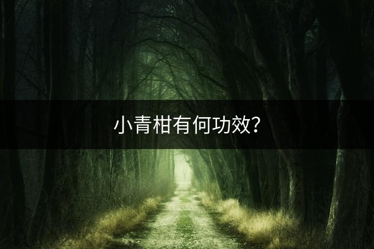 小青柑有何功效？