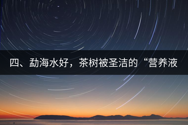 四、勐海水好，茶樹(shù)被圣潔的“營(yíng)養(yǎng)液”所滋養(yǎng)