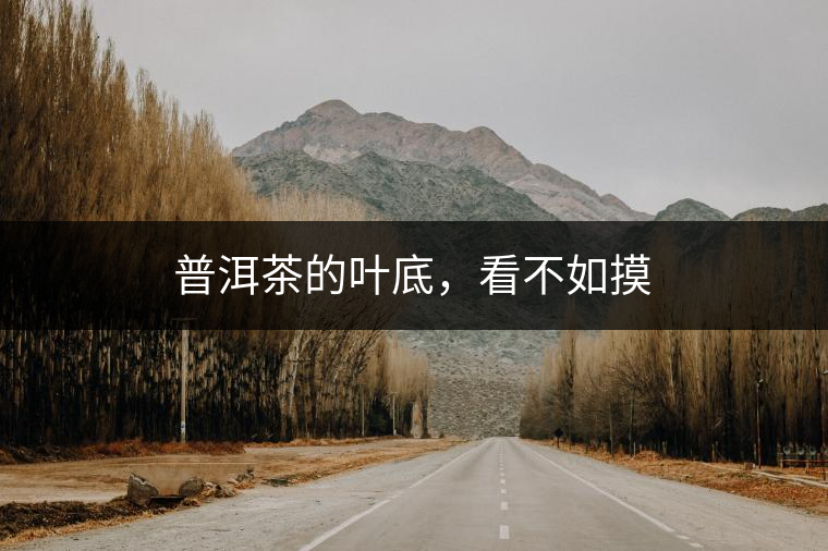 普洱茶的葉底，看不如摸