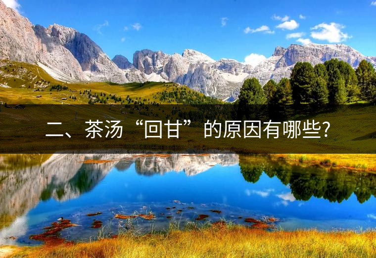 二、茶湯“回甘”的原因有哪些?