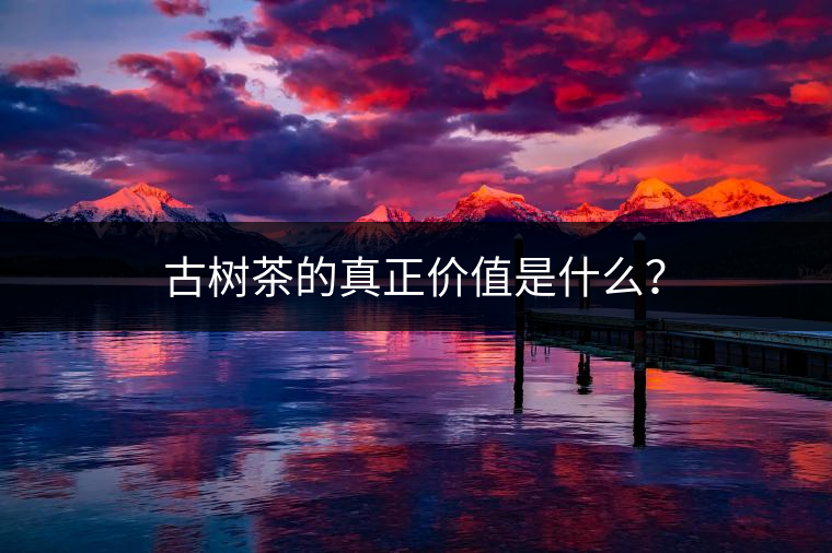 古樹茶的真正價(jià)值是什么？