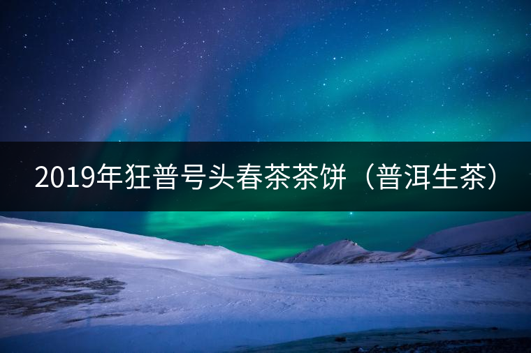 2019年狂普號(hào)頭春茶茶餅（普洱生茶）