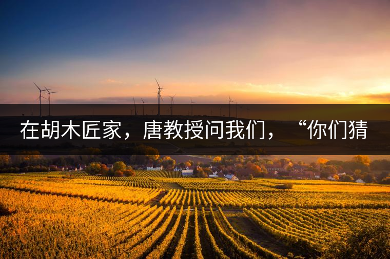 在胡木匠家，唐教授問我們，“你們猜猜他們家的茶放在哪里？”我們回答廚房、客廳都不對，“難道像寺院一樣，有專門的茶房不成？”教授和木匠都哈哈大笑，連連搖頭。在木匠的帶領(lǐng)下，我們來到主人的臥室，茶磚整齊有序地堆放在床頭柜里。一家之主的臥室，既是休息之所，亦是一家財富與傳家寶的收藏地。茶之精貴，毋需多言。