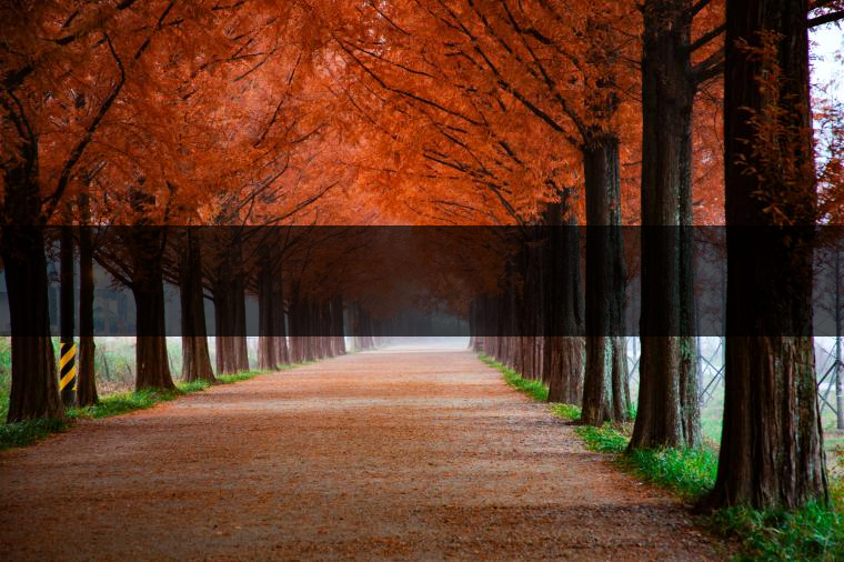 這樣的茶葉邊疆文化，也許是明代大學(xué)者解縉最樂意見到的。他曾說，中原最好的東西就是茶，而番人最好的就是馬。他贊同明廷茶馬互市的國策：茶之于夷人，如同中國之酒醴，因?yàn)椴桉R貿(mào)易，許多夷人也開始學(xué)習(xí)中國的知識，對中國也有了向慕之心，那么茶的作用就很顯然，茶有著“夷夏之交，義利之辨，寅賓尚忠信而篤敬，河州固唐虞三代之邦也?！?茶不僅僅是一種飲品，還有其他。茶作為媒介，體現(xiàn)了觀念的變化。如今，隨著茶的傳播，各族人民有了更深入往來，通過貿(mào)易、文化、旅游等等。
陳渠珍從西藏抵達(dá)湟源區(qū)域時，也為這里的古風(fēng)所震驚：“余皆漢番雜處。風(fēng)俗婦女尚餞足，裙下蓮步不及三寸，服飾既古，文化尤卑，鄰居為私塾，當(dāng)見一生久讀不能成誦，塾師罰之跪，以草圈罩頭上，頻加籌石，令其跪誦。余見駭然?！?
?
（摘自《海峽茶道》，2013年5期）