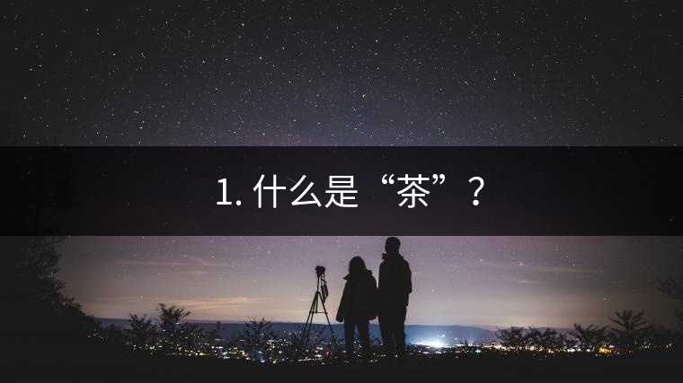 ? 1. 什么是“茶”？