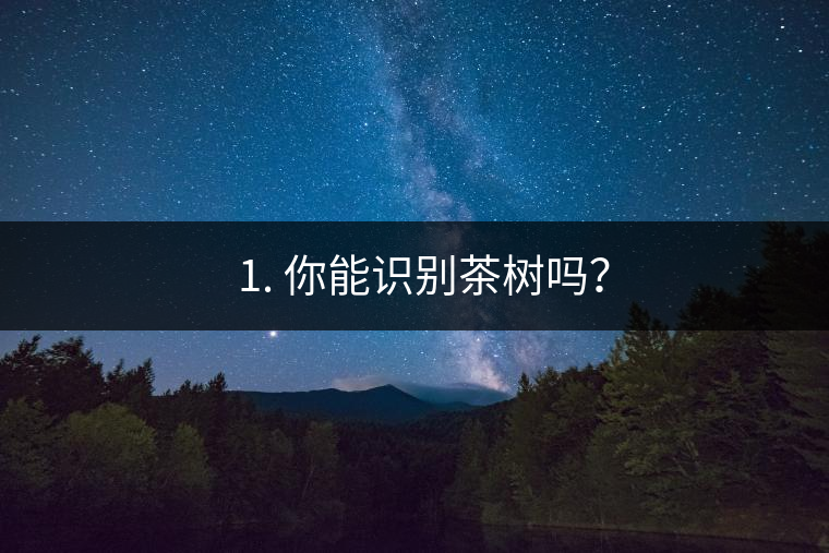 ??1. 你能識別茶樹嗎？