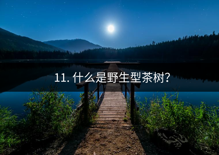 ? 11. 什么是野生型茶樹？