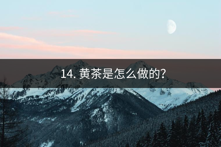 ? 14. 黃茶是怎么做的？