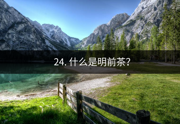 ? 24. 什么是明前茶？